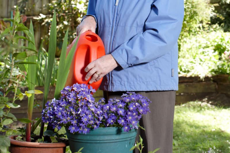 Someone whose face is not in shot watering plants outside.