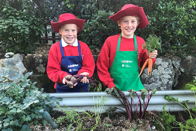 Two school boys picking veg out from a vegetable patch.