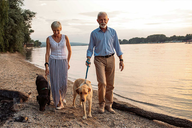 Two older adults walking a dog each along a beach.