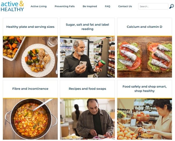 A screengrab of the Healthy Ageing Online Learning platform.