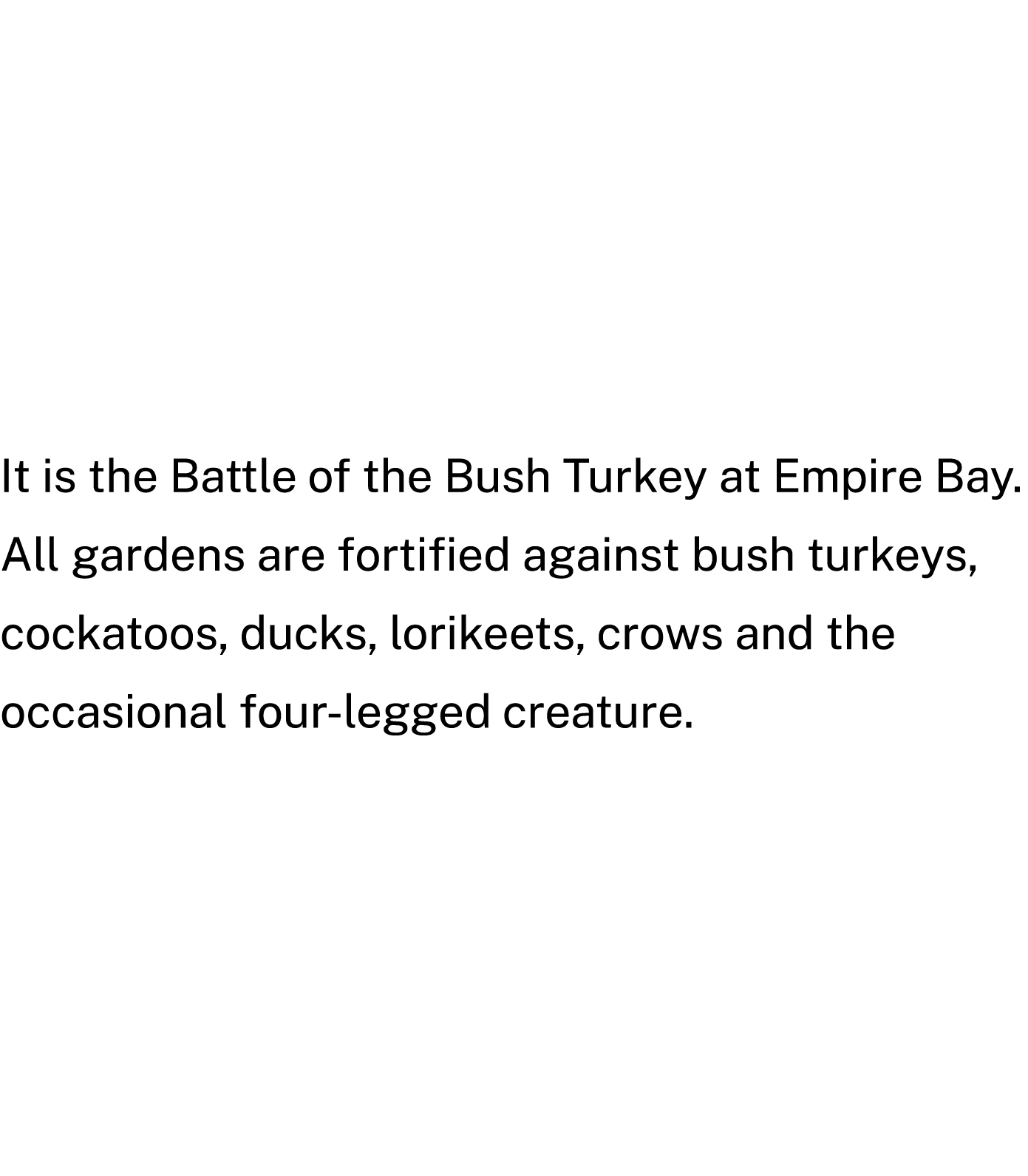It is the Battle of the Bush Turkey at Empire Bay. All gardens are fortified against bush turkeys, cockatoos, ducks, ...