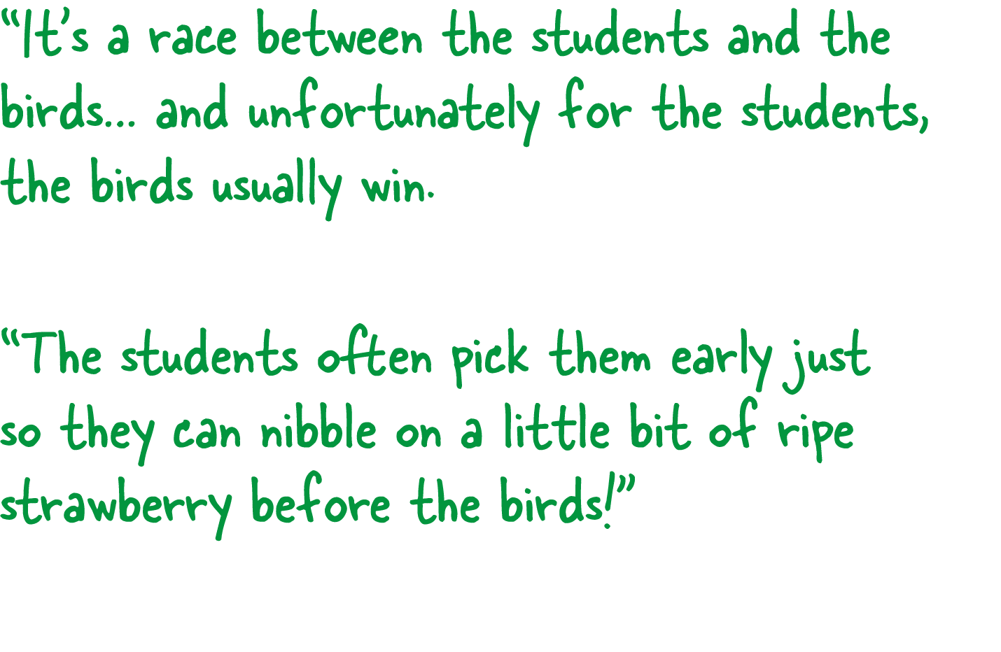 “It’s a race between the students and the birds… and unfortunately for the students, the birds usually win. “The stud...